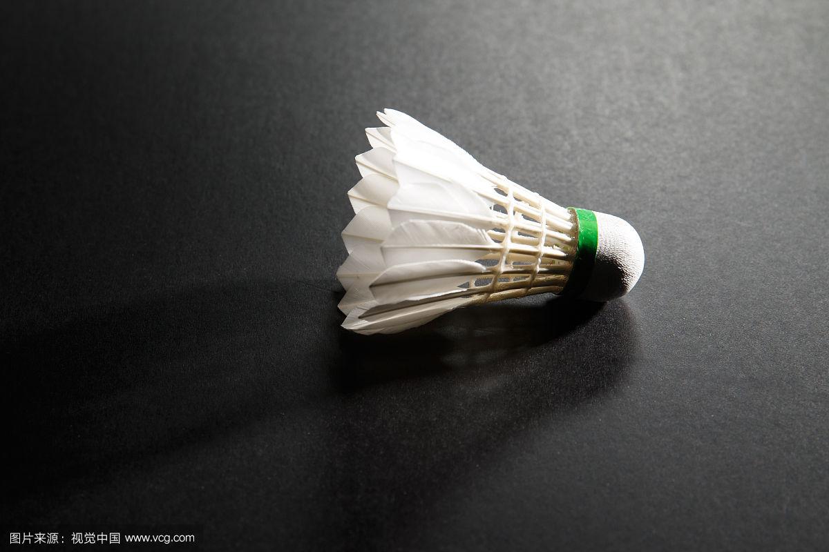 贏得了無數 贏得了無數