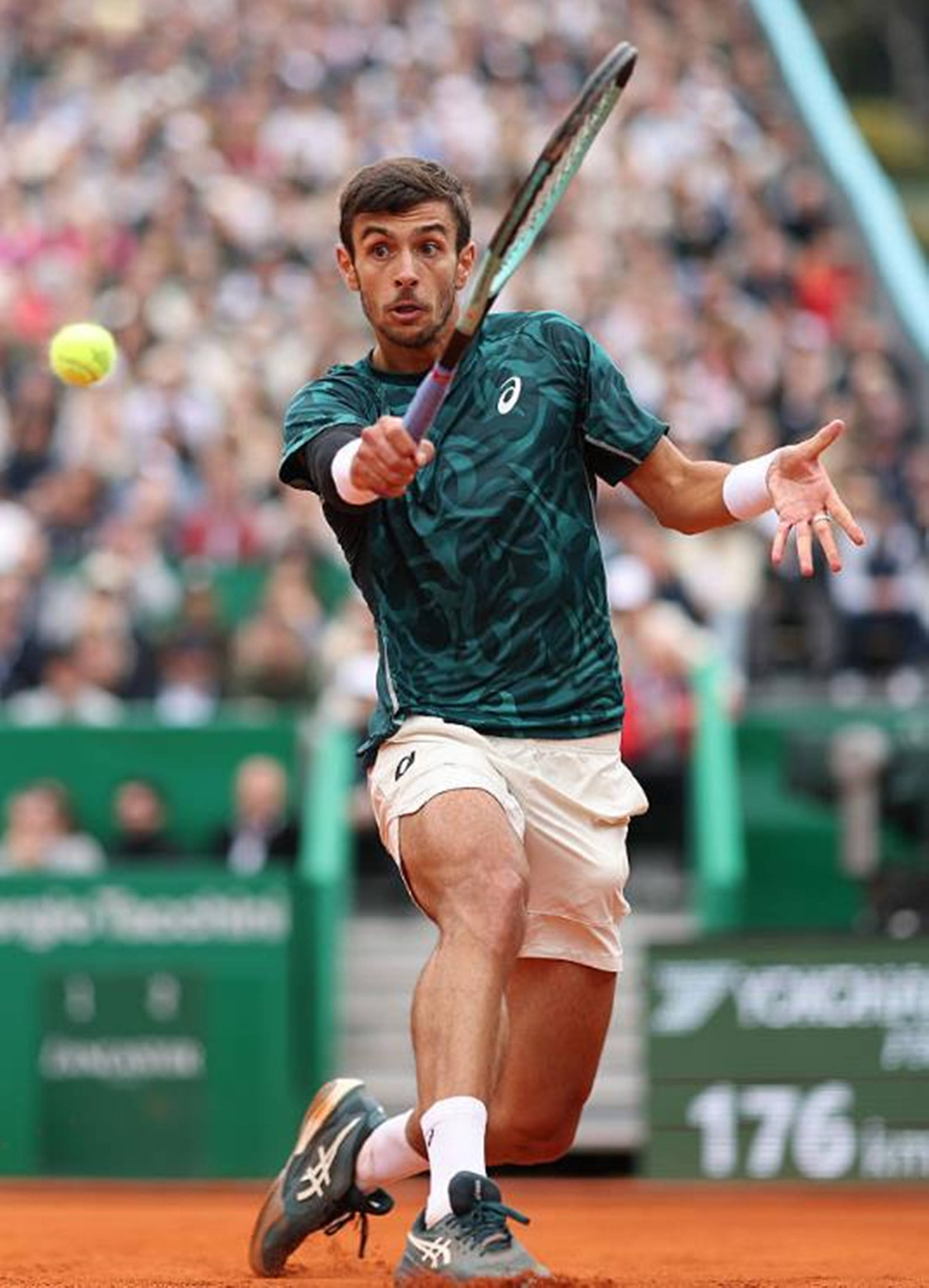 取信息红利 取信息红利